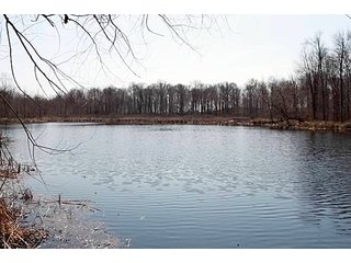 Property consists of 29.8 acres of woods and marshland with a newer 20 x 36 hunting cabin with garage all set back from the road for a fabulous hunting and recreation retreat.  

Cabin is set at edge of wooded area for a beautiful view of the area.

The woods have a former apple orchard and a cleared path around the perimeter of the property.  The marshland has duck blinds with abundance of waterfowl.  

Present owner has hunted with fantastic results, and pictures are taken from actual property. 

Don't miss an opportunity to own your own little paradise. - Prime Hunting and Recreation Land with Newer Cabin